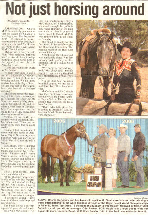 Halter Register of Merit Aqha Halter Horses. Halter Register of Merit